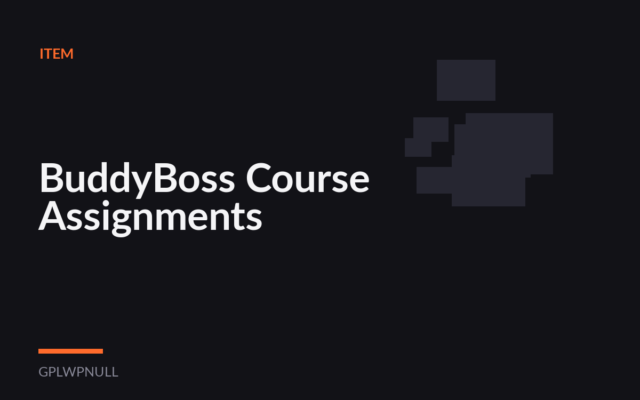 BuddyBoss Course Assignments